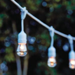 12 Bulb White Light Strand