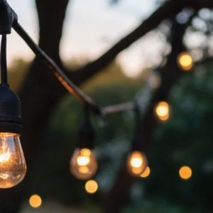 12 Bulb Black Light Strand